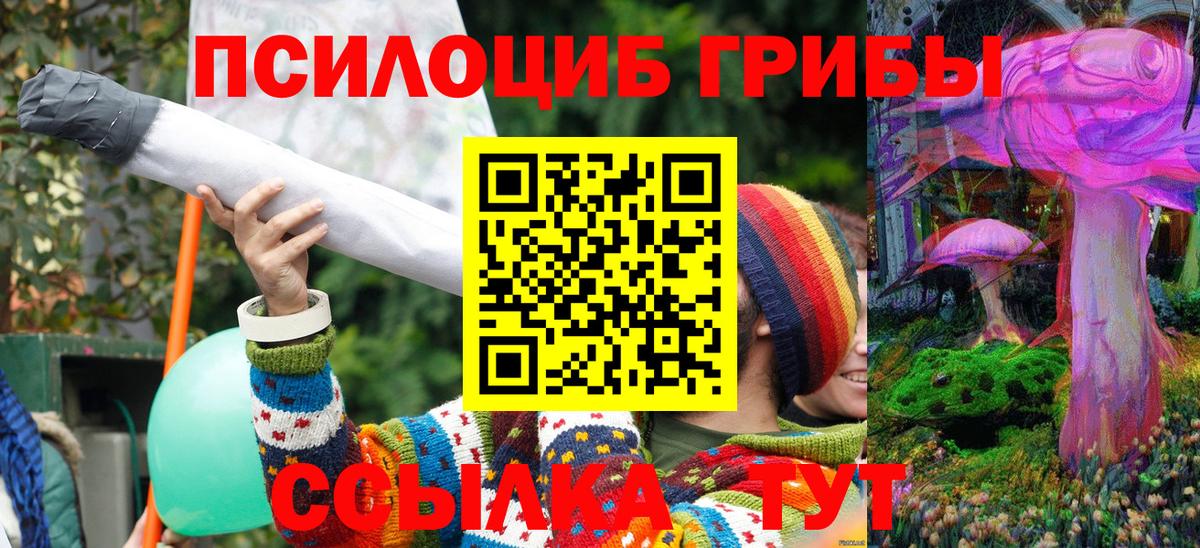 Новороссийск  Псилоцибиновые грибы прущие грибы  Псилоцибиновые грибы ЛСД  Вход с VPN 