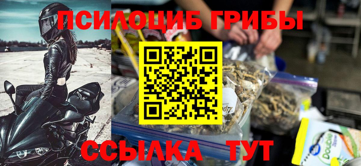 Псилоцибиновые грибы Psilocybe Новороссийск